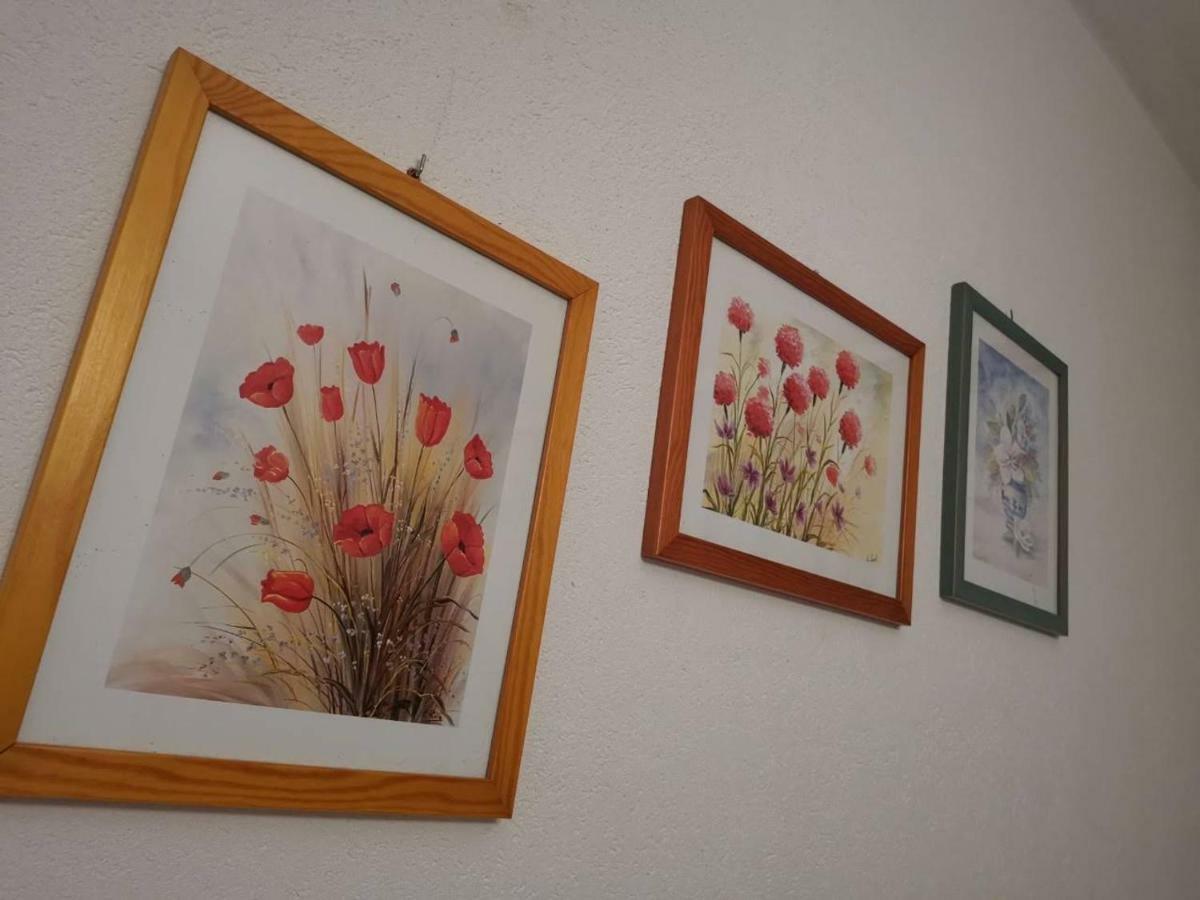 Apartmani Spomenka Seline Exterior foto